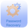 Access Password Recovery 