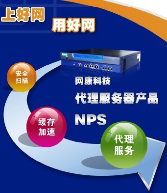 网康安全代理服务器 NetentSec NPS